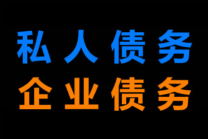 无赔偿能力诉讼困境应对策略